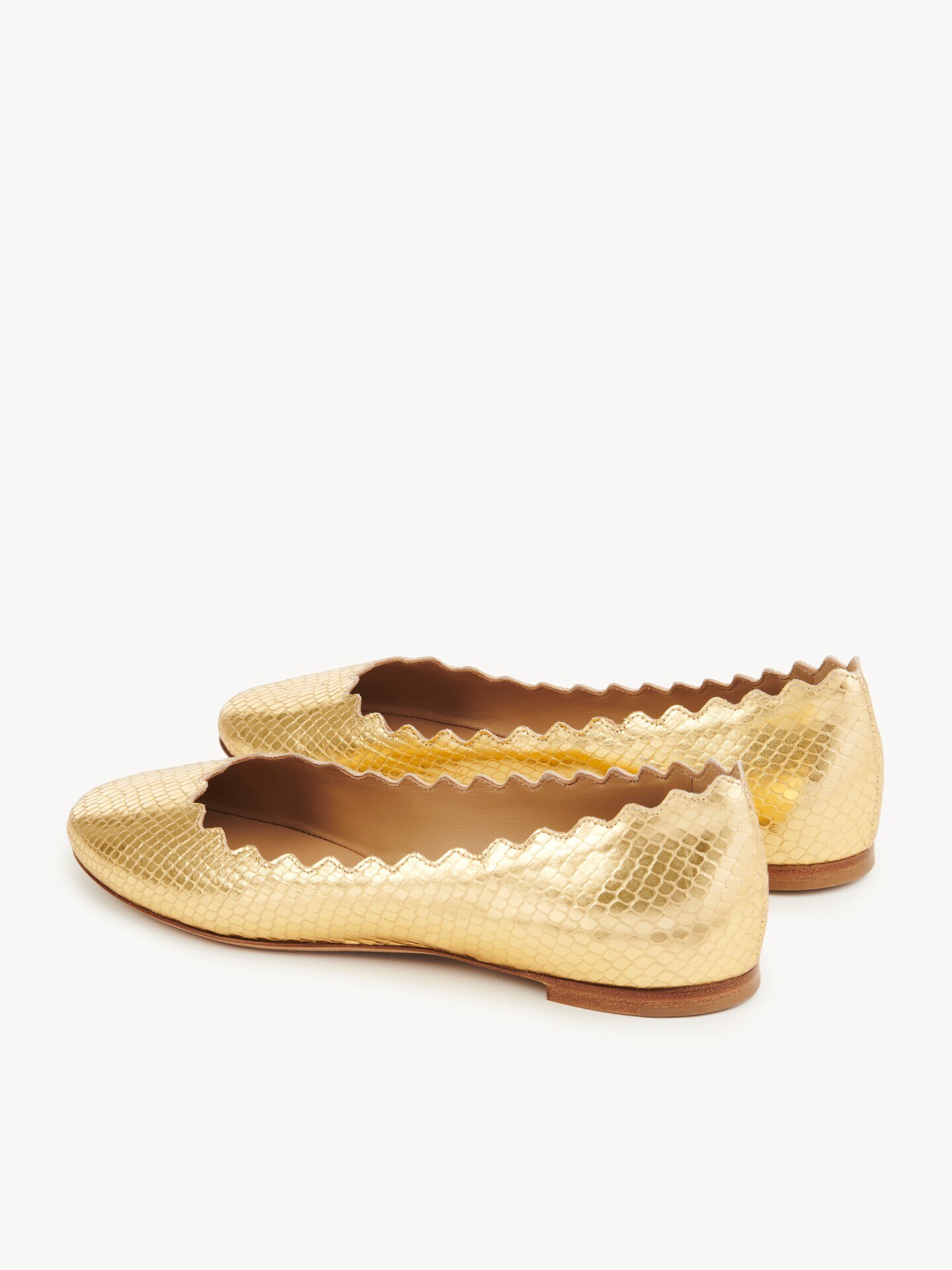 Lauren ballerina - 6