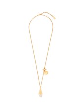 GOLD_AND_TRANSPARENT