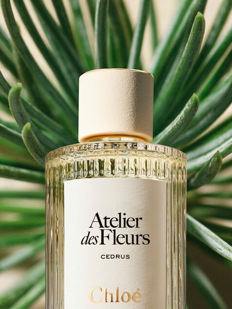 Atelier des Fleurs Cedrus Eau de Parfum 150&nbsp;ml