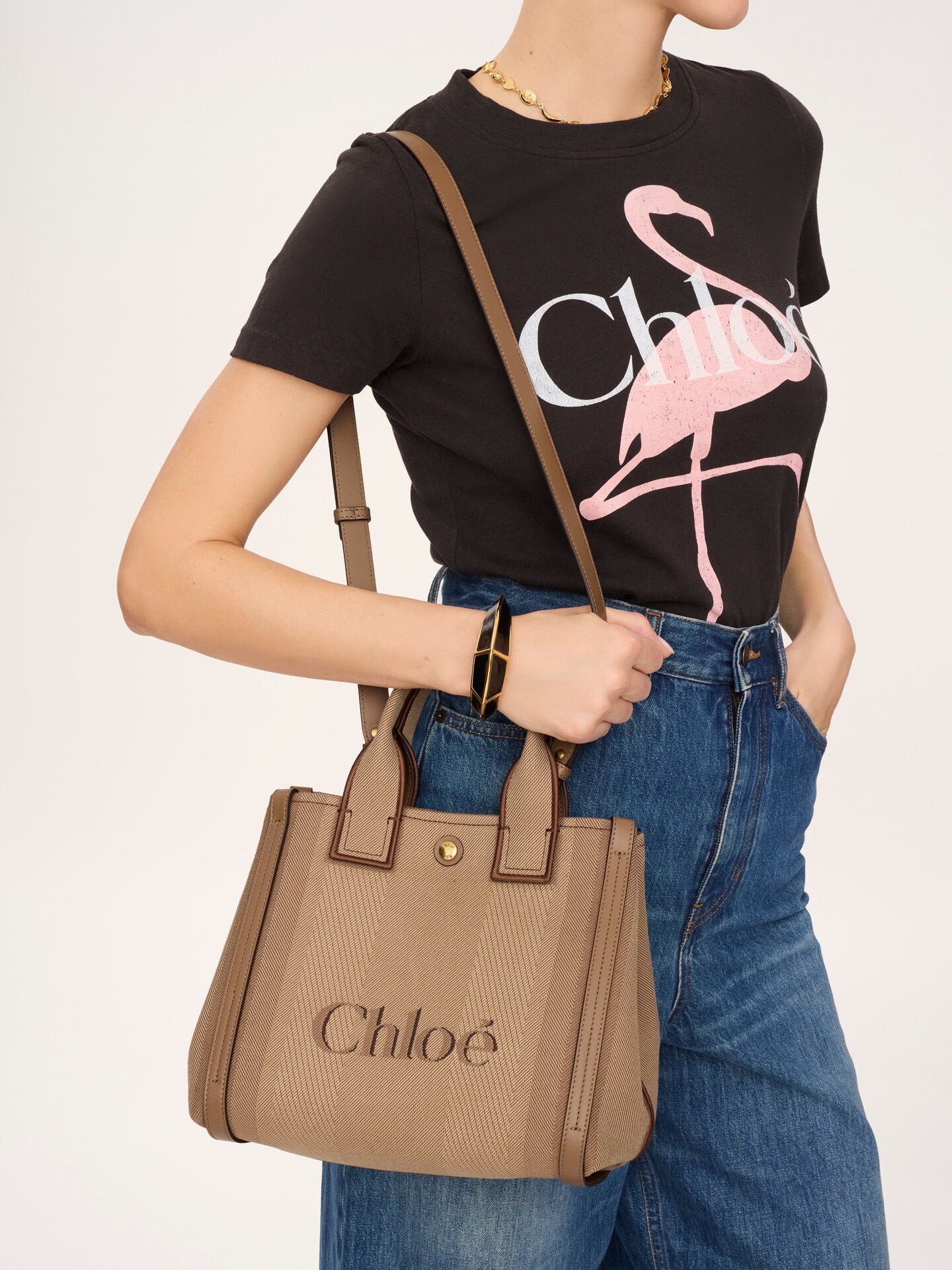 Small Chloé Carry tote bag in canvas - 3