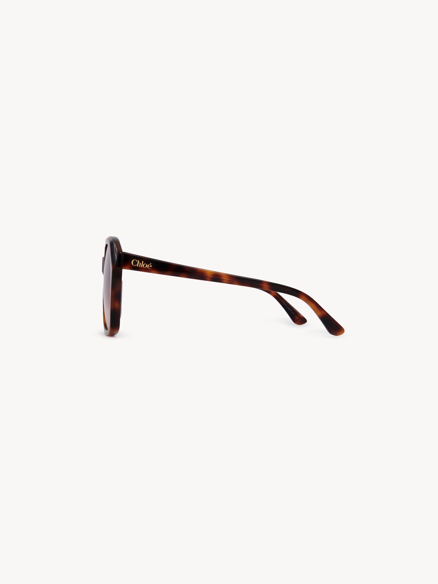 Salom&eacute; sunglasses - 4