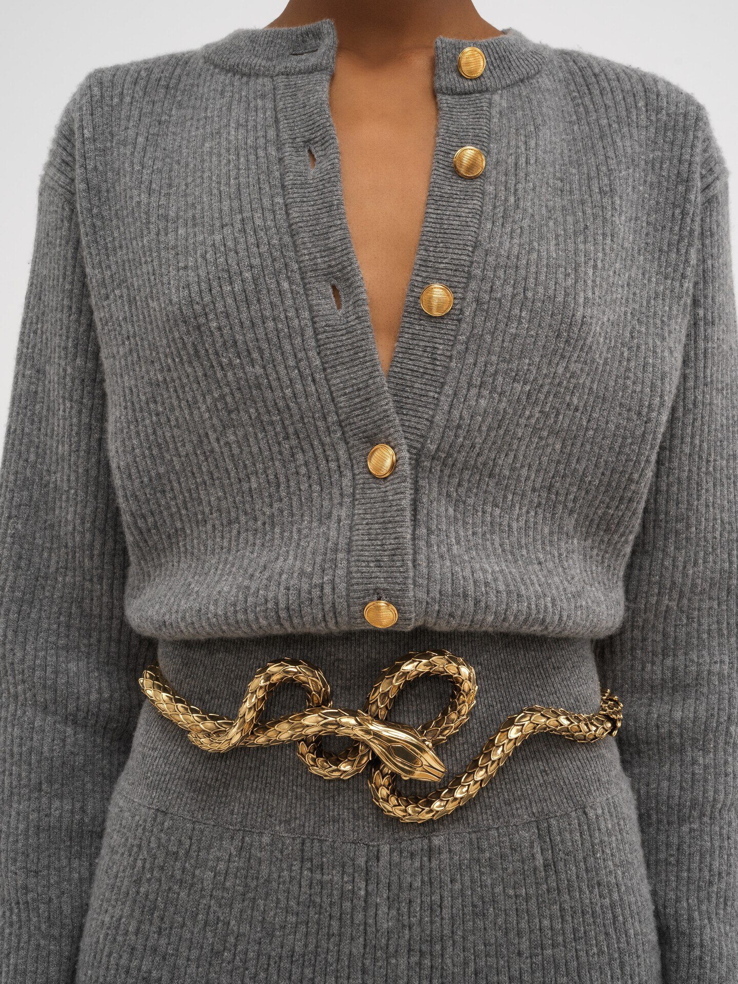 The Chlo&eacute; Snake belt - 3