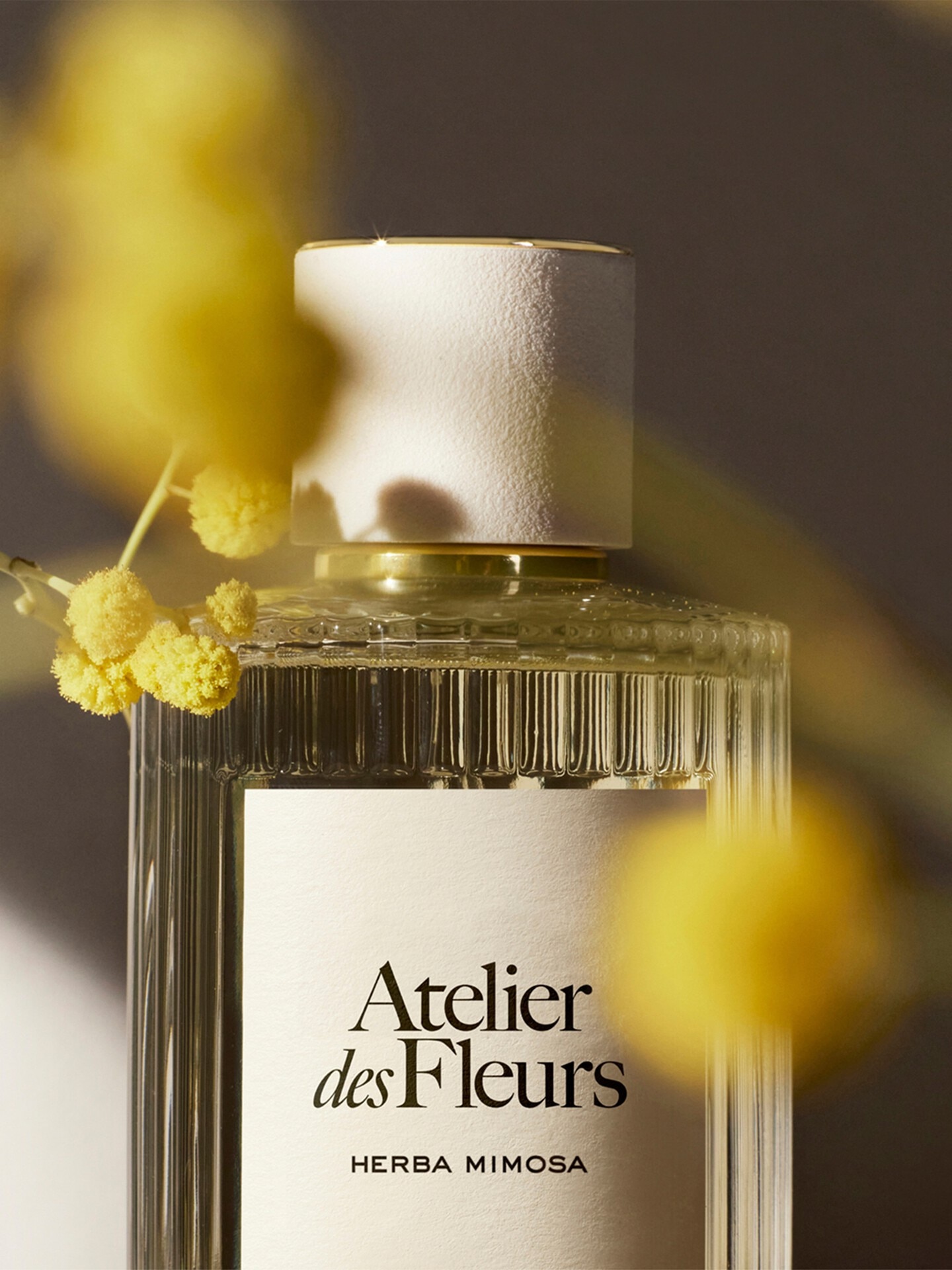 Atelier des Fleurs Herba Mimosa Eau de Parfum 150&nbsp;ml - 6