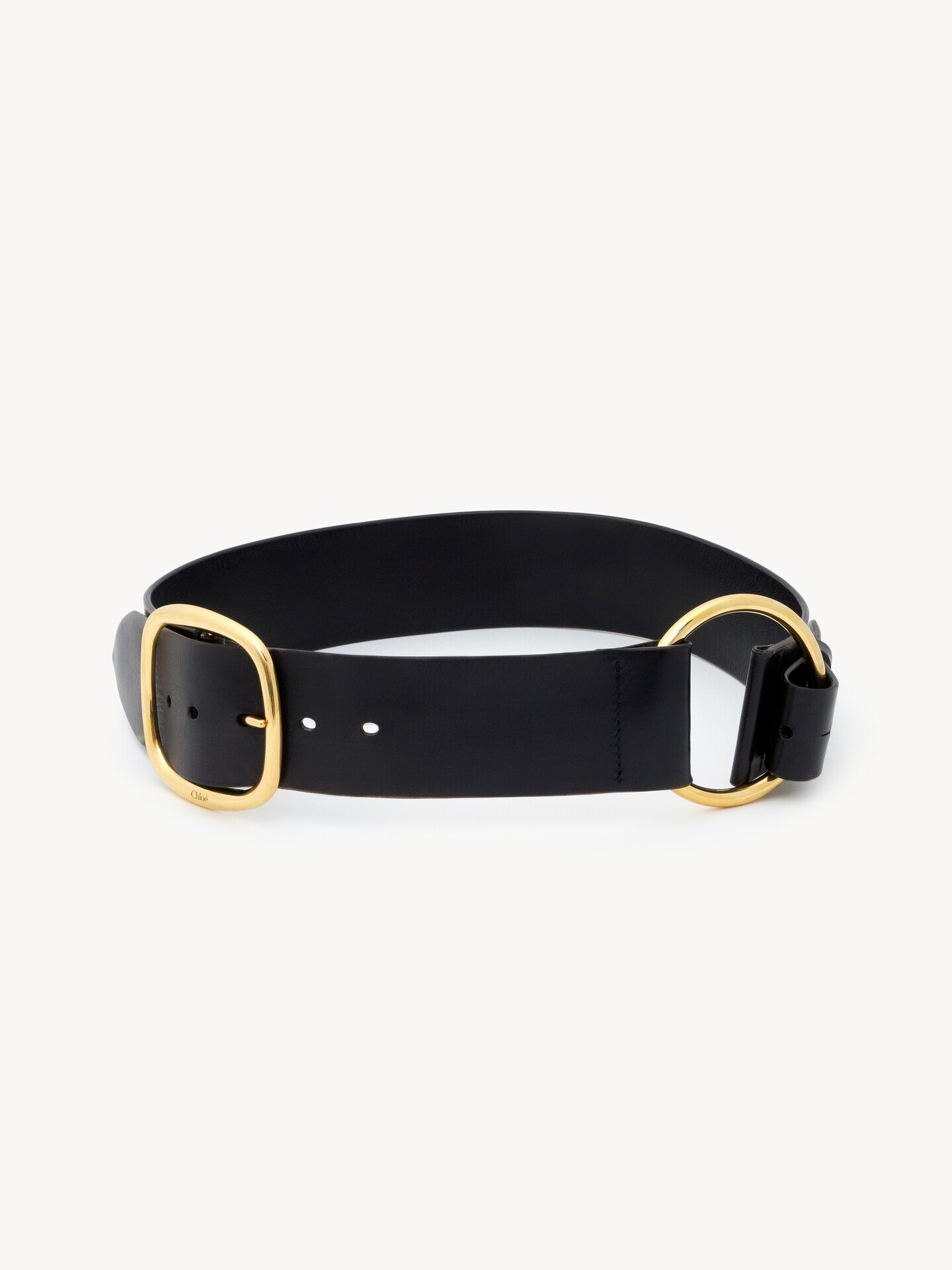 The Chloé Anita belt - 2