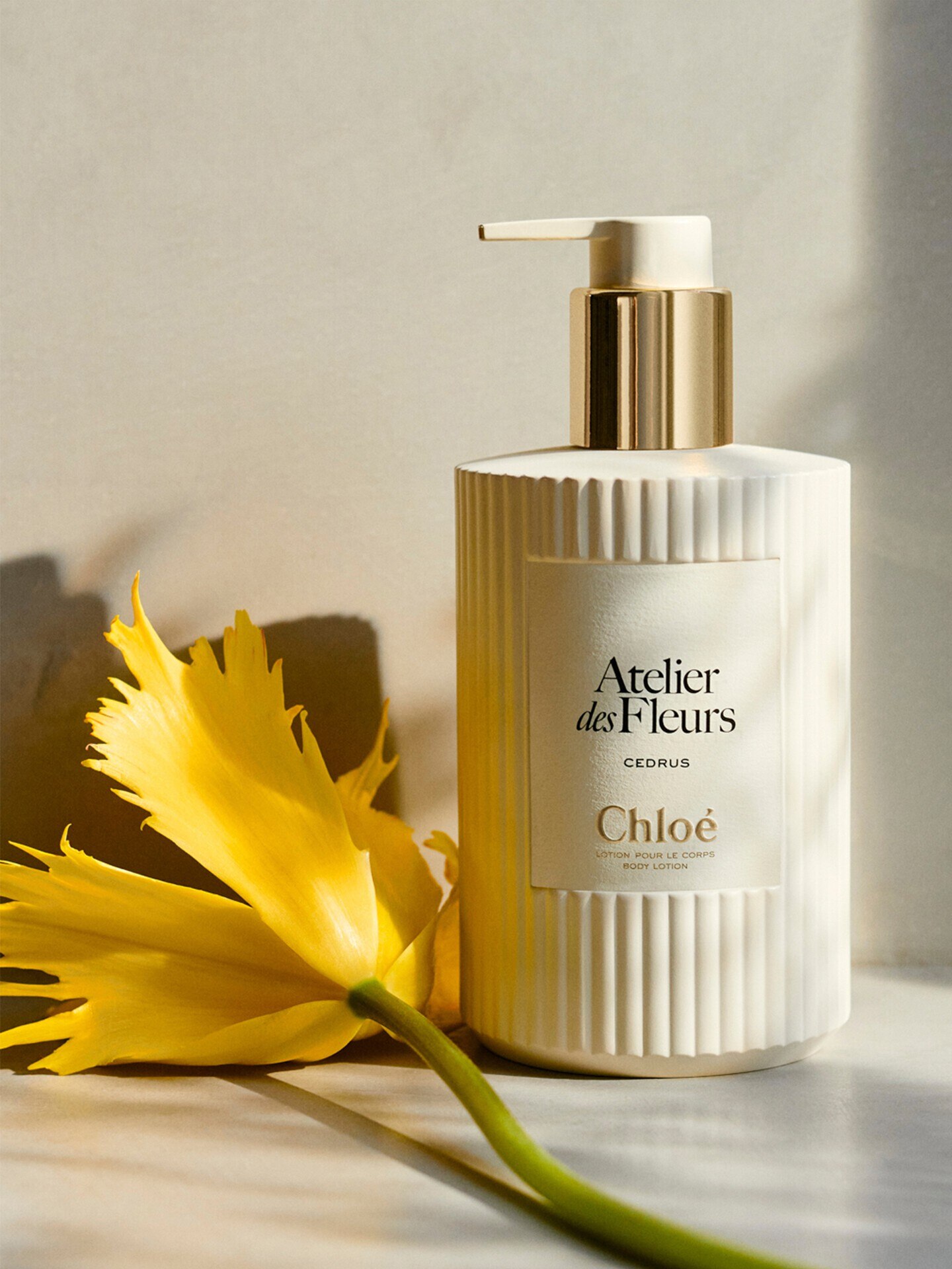 Loci&oacute;n corporal perfumada Atelier des Fleurs Cedrus - 7