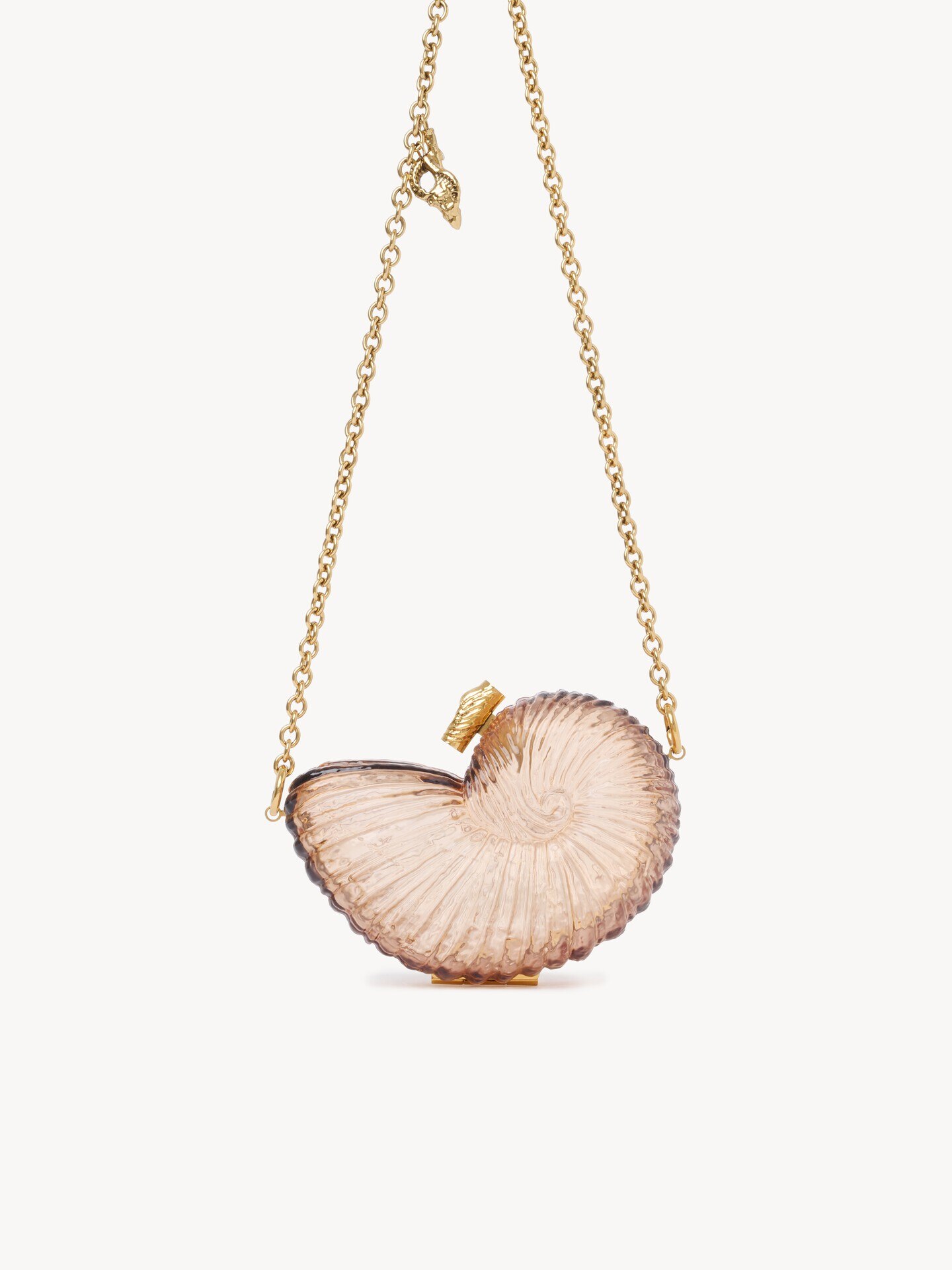 Sea Treasures Shell minaudi&egrave;re in plexiglass - 5