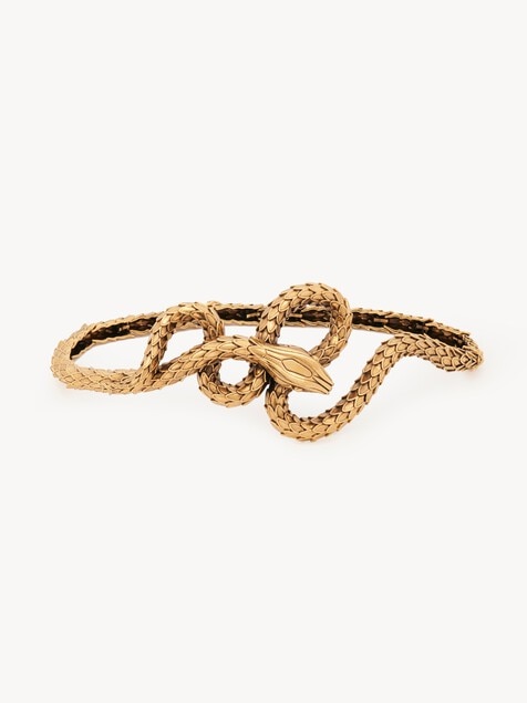 The Chloé Snake belt