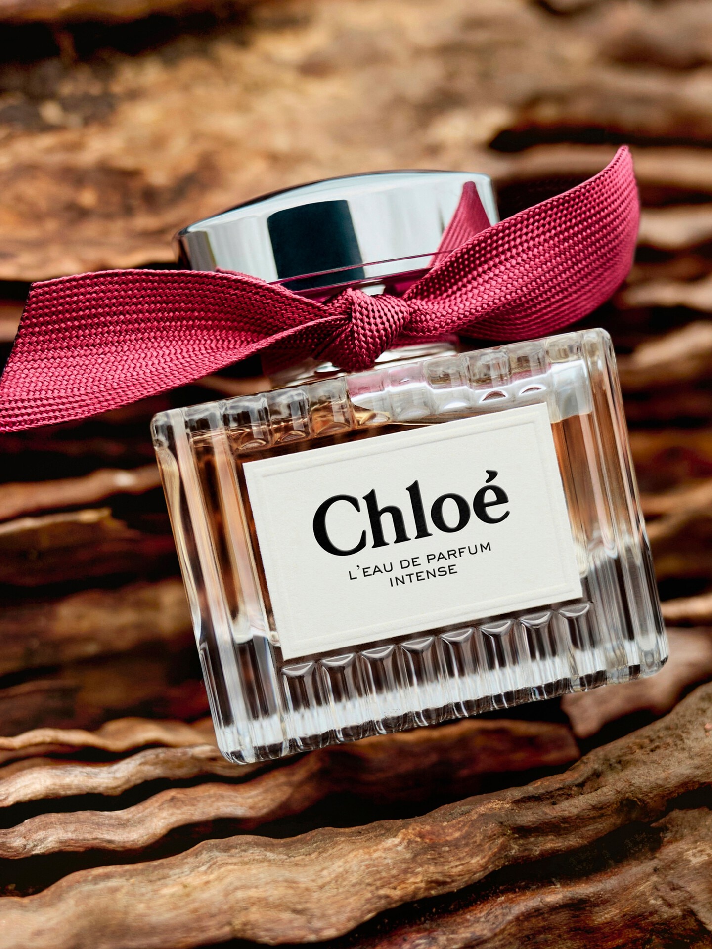Chlo&eacute; l&rsquo;Eau de Parfum Intense 3.4 fl oz - 5