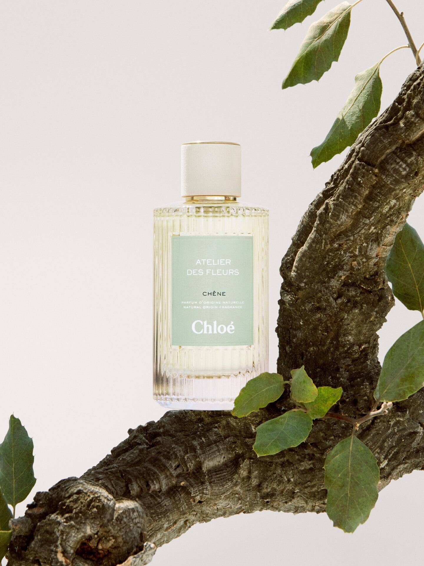 Atelier des Fleurs Ch&ecirc;ne Eau de Parfum 150&nbsp;ml - 5