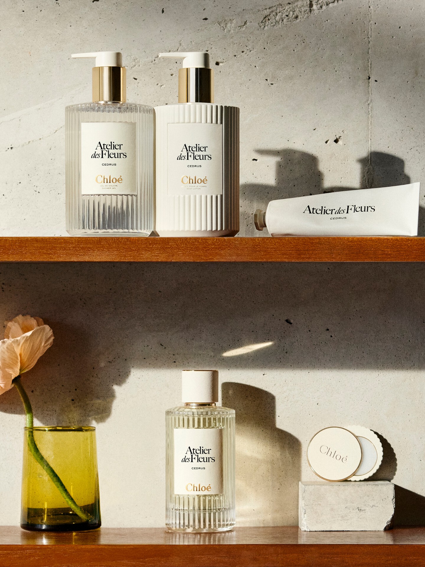 Perfume s&oacute;lido Atelier des Fleurs Cedrus - 6