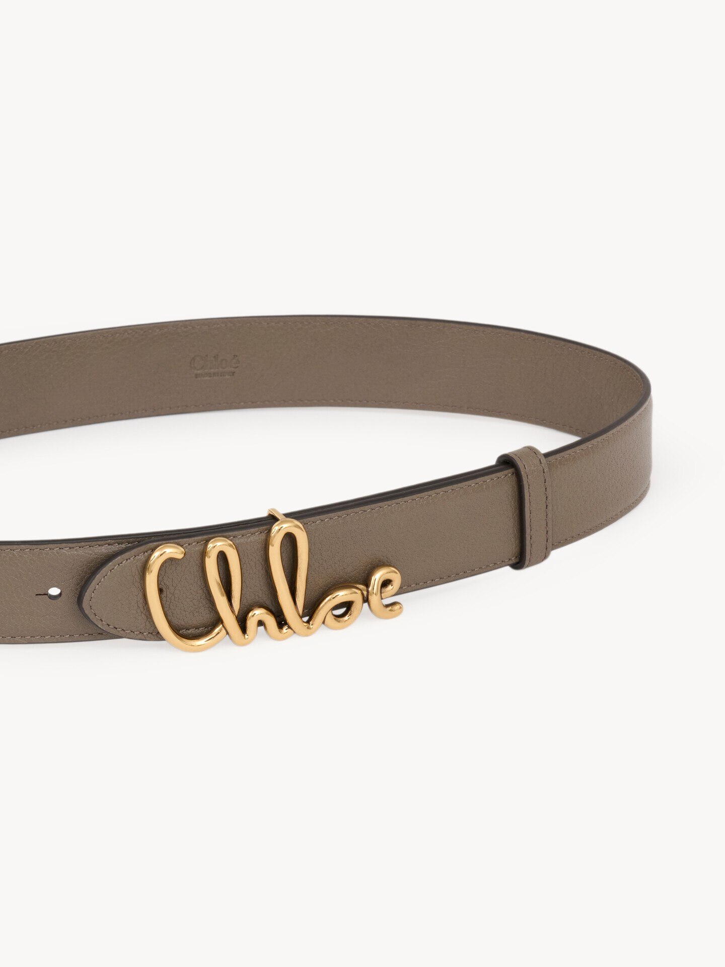 The Chloé Iconic belt - 5