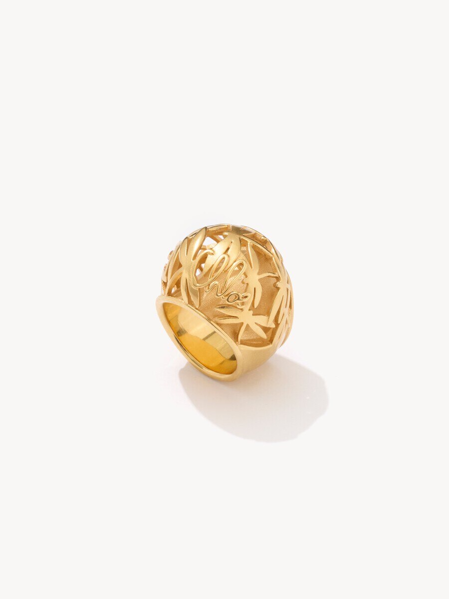 The Chlo&eacute; Gilded Cage ring - 4