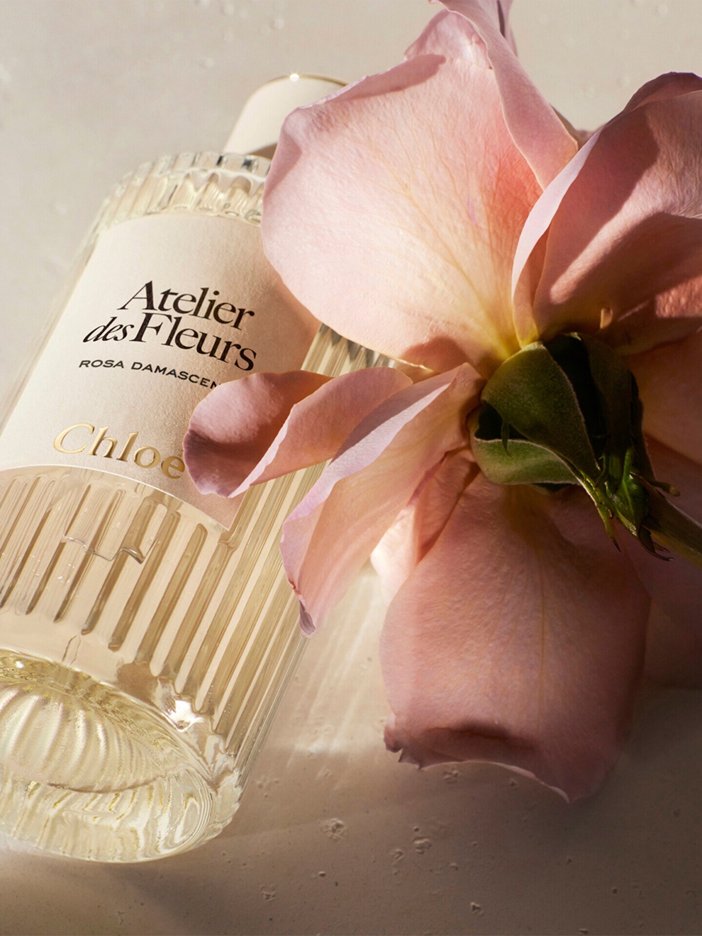 Atelier des Fleurs Rosa Damascena Eau de Parfum 150&nbsp;ml - 5