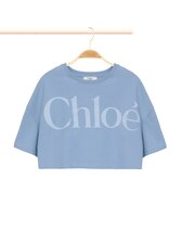 BLUE_GRAY