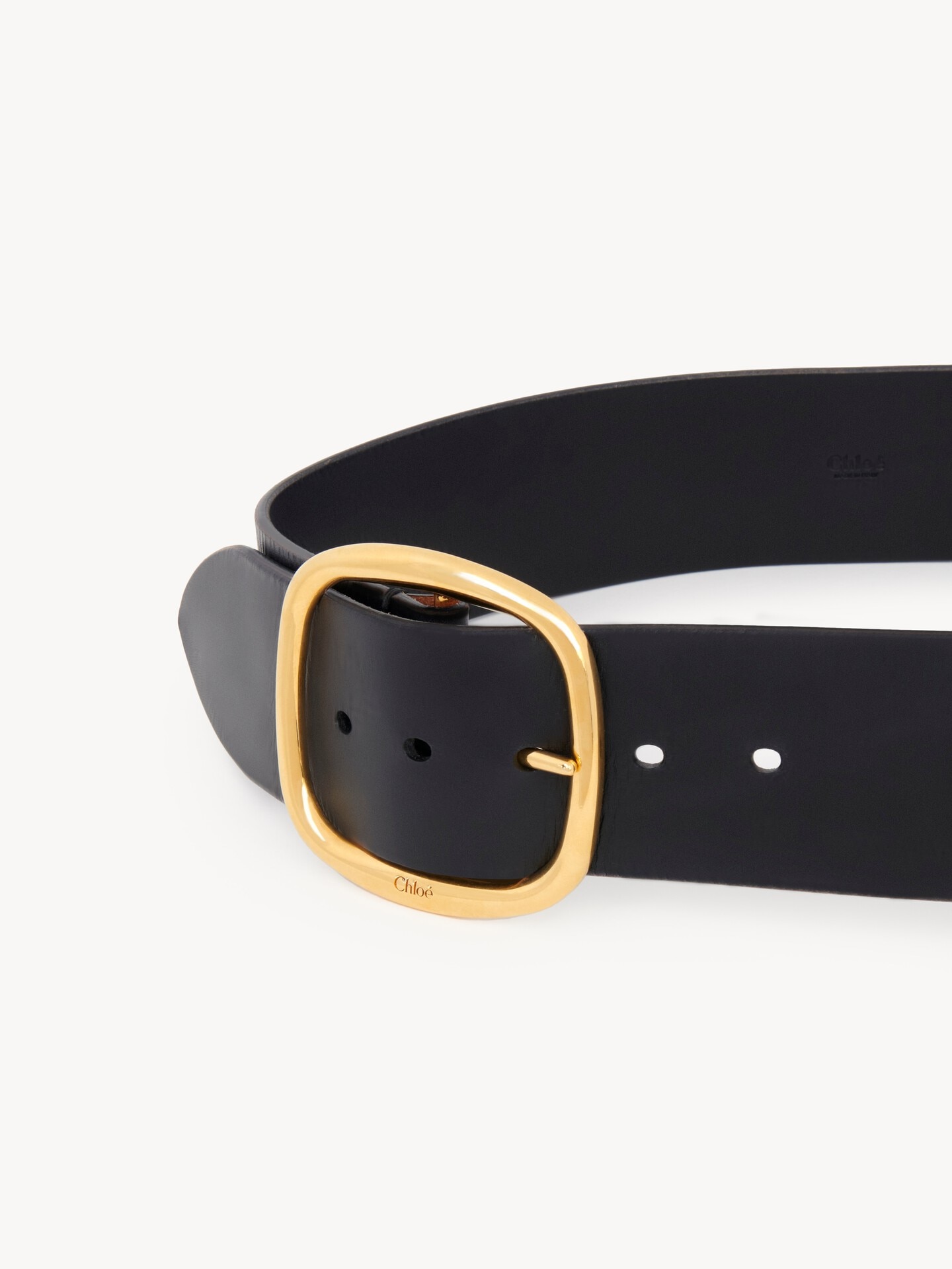 The Chloé Anita belt - 5