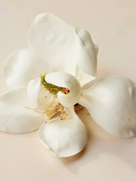 Atelier des Fleurs Magnolia Alba Eau de Parfum 5.1 fl oz