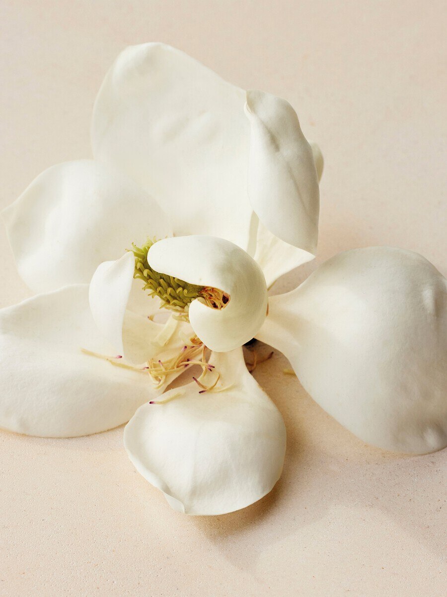Atelier des Fleurs Magnolia Alba Eau de Parfum 5.1 fl oz - 4