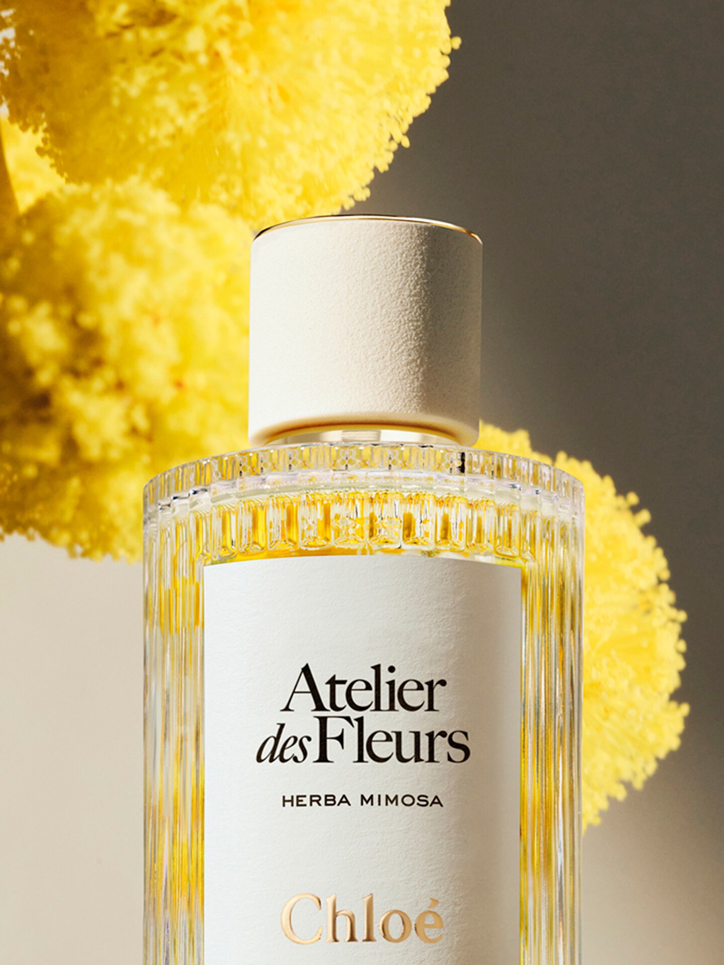 Atelier des Fleurs Herba Mimosa Eau de Parfum 150&nbsp;ml - 4