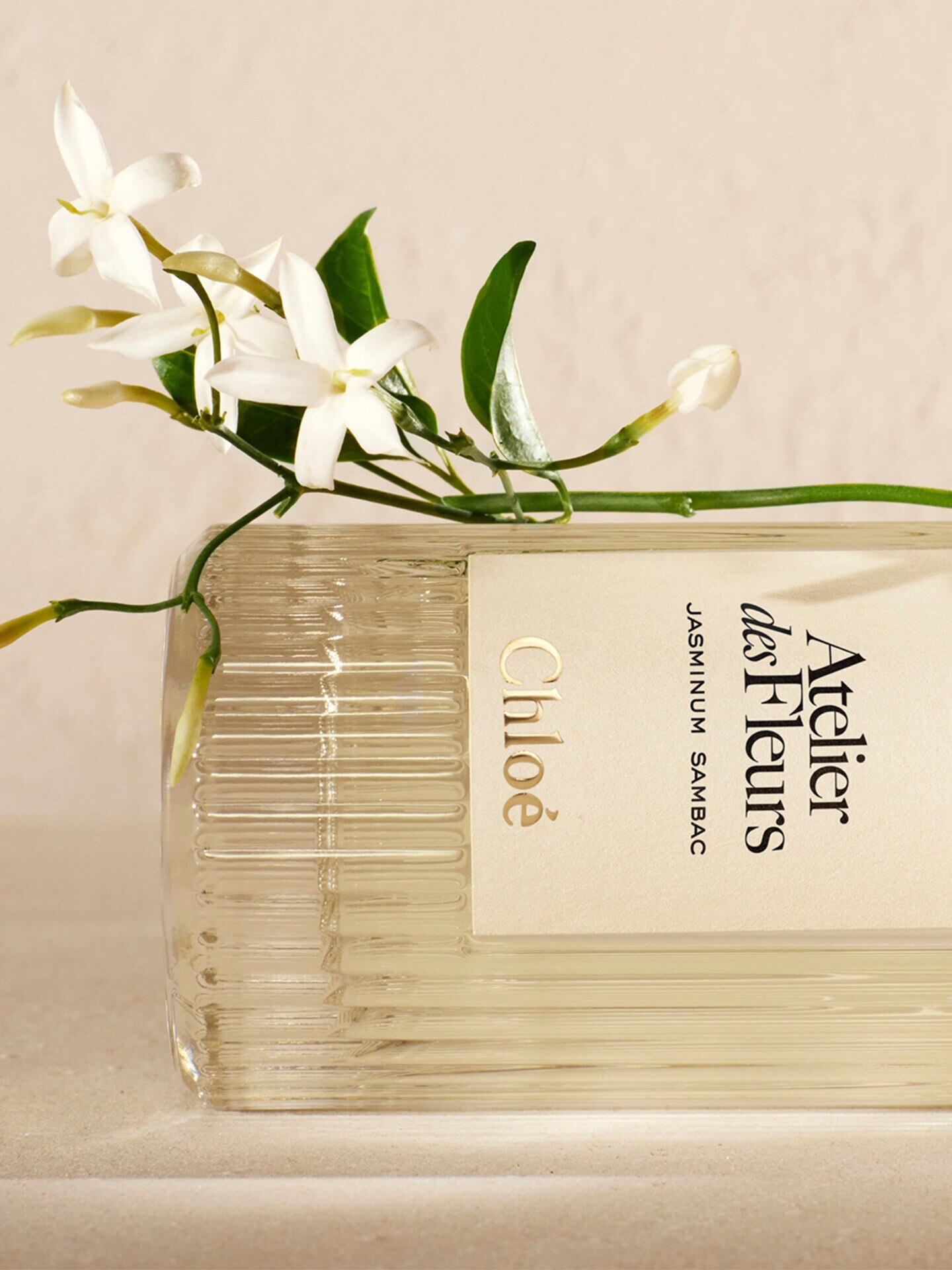 Atelier des Fleurs Jasminum Sambac Eau de Parfum 50&nbsp;ml - 5