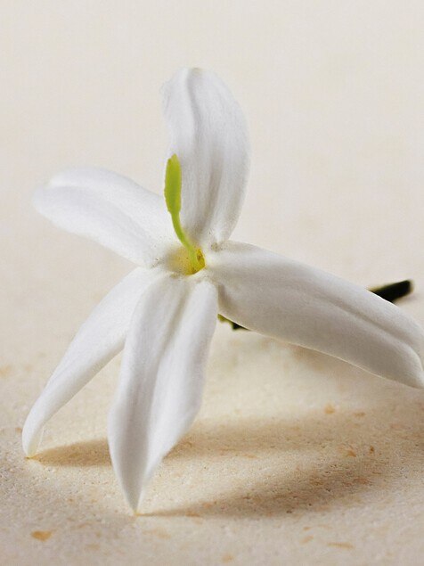 Atelier des Fleurs - Estuche de regalo de descubrimiento de fragancias
