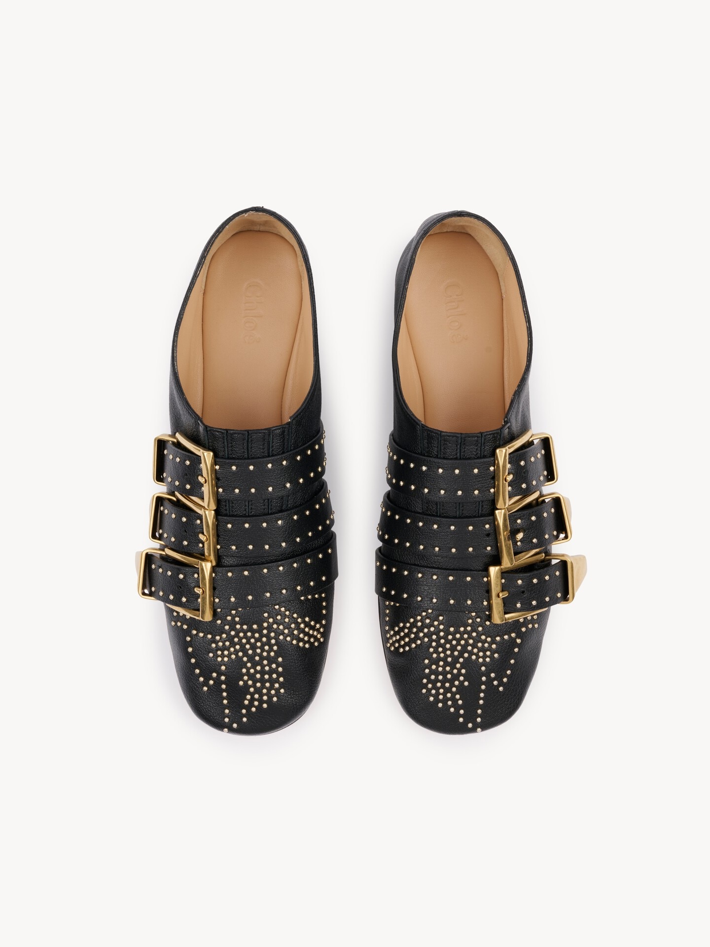 Susanna flat - 4