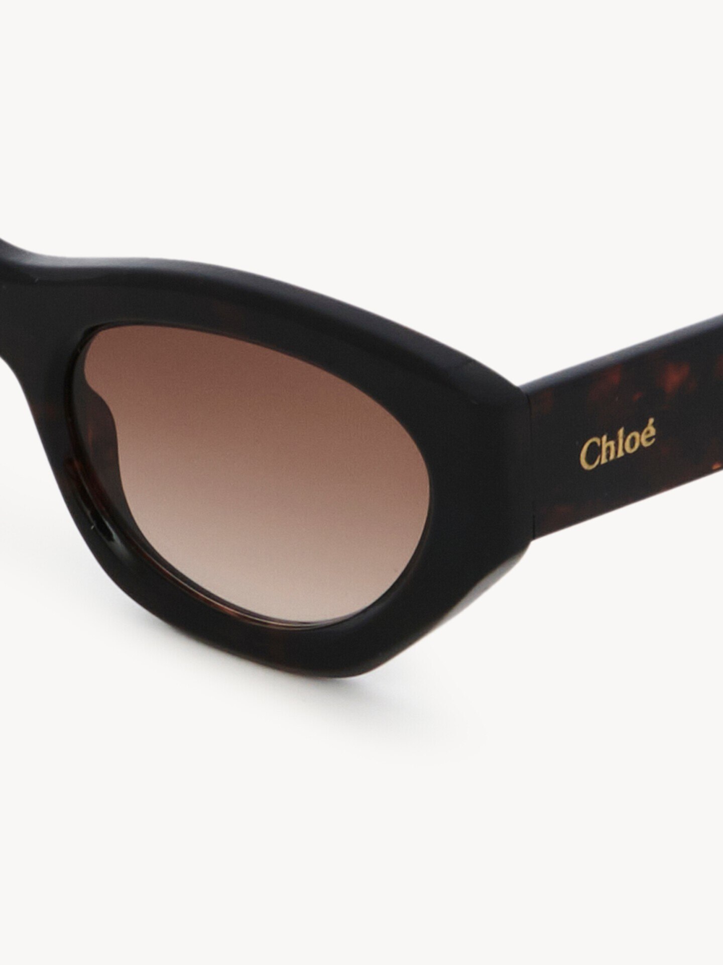 Gayia sunglasses - 5