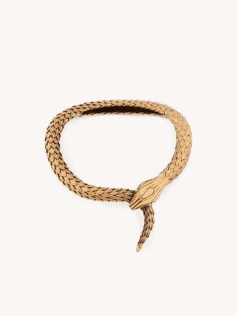 The Chloé Snake necklace