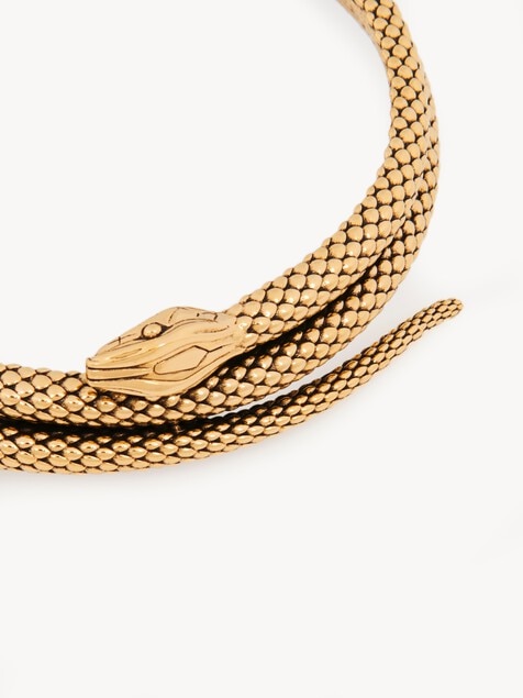 The Chloé Snake necklace