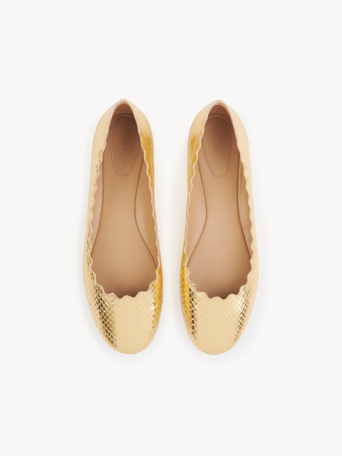 Lauren ballerina - 5