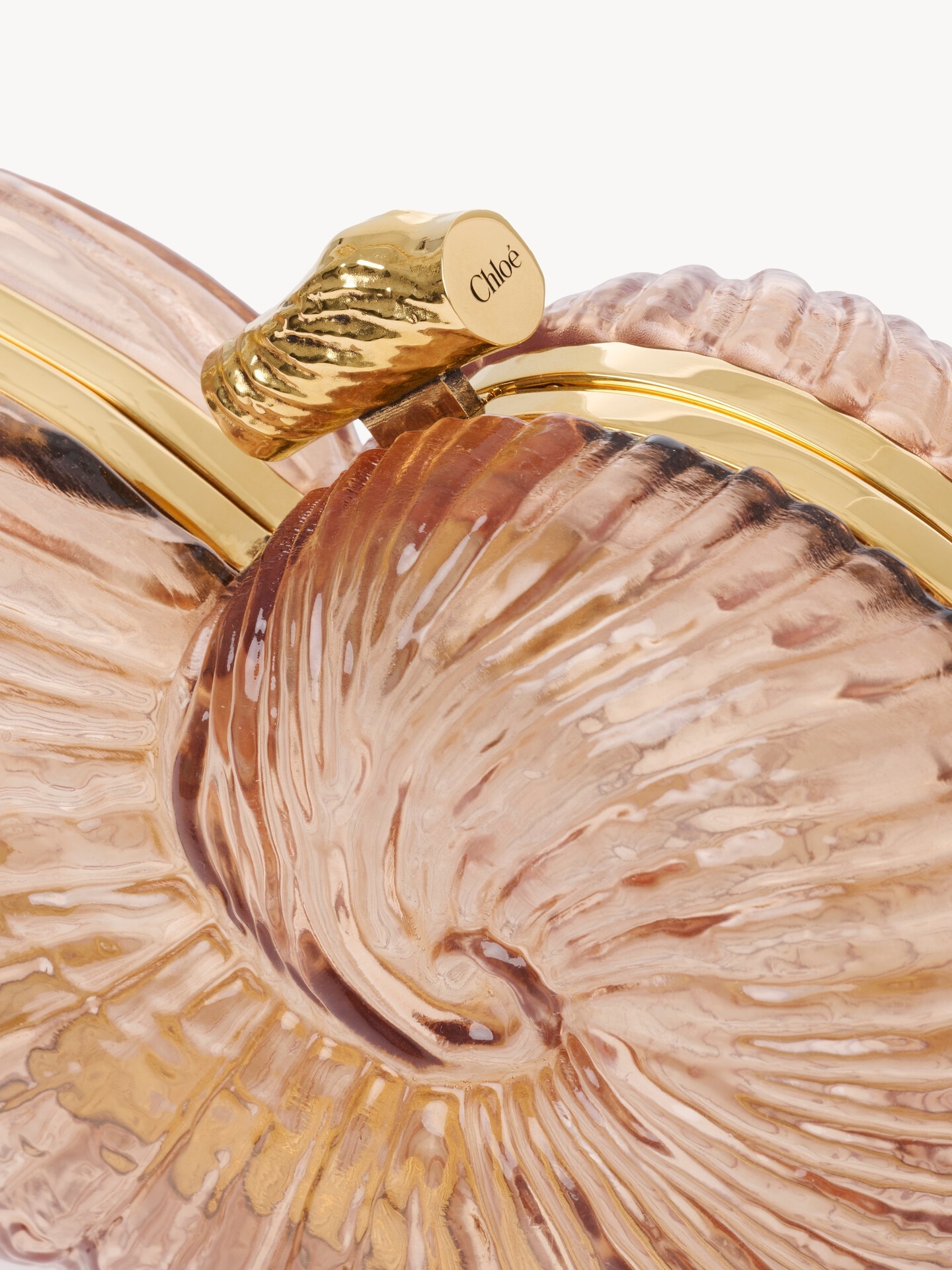 Sea Treasures shell minaudi&egrave;re in plexiglass - 6