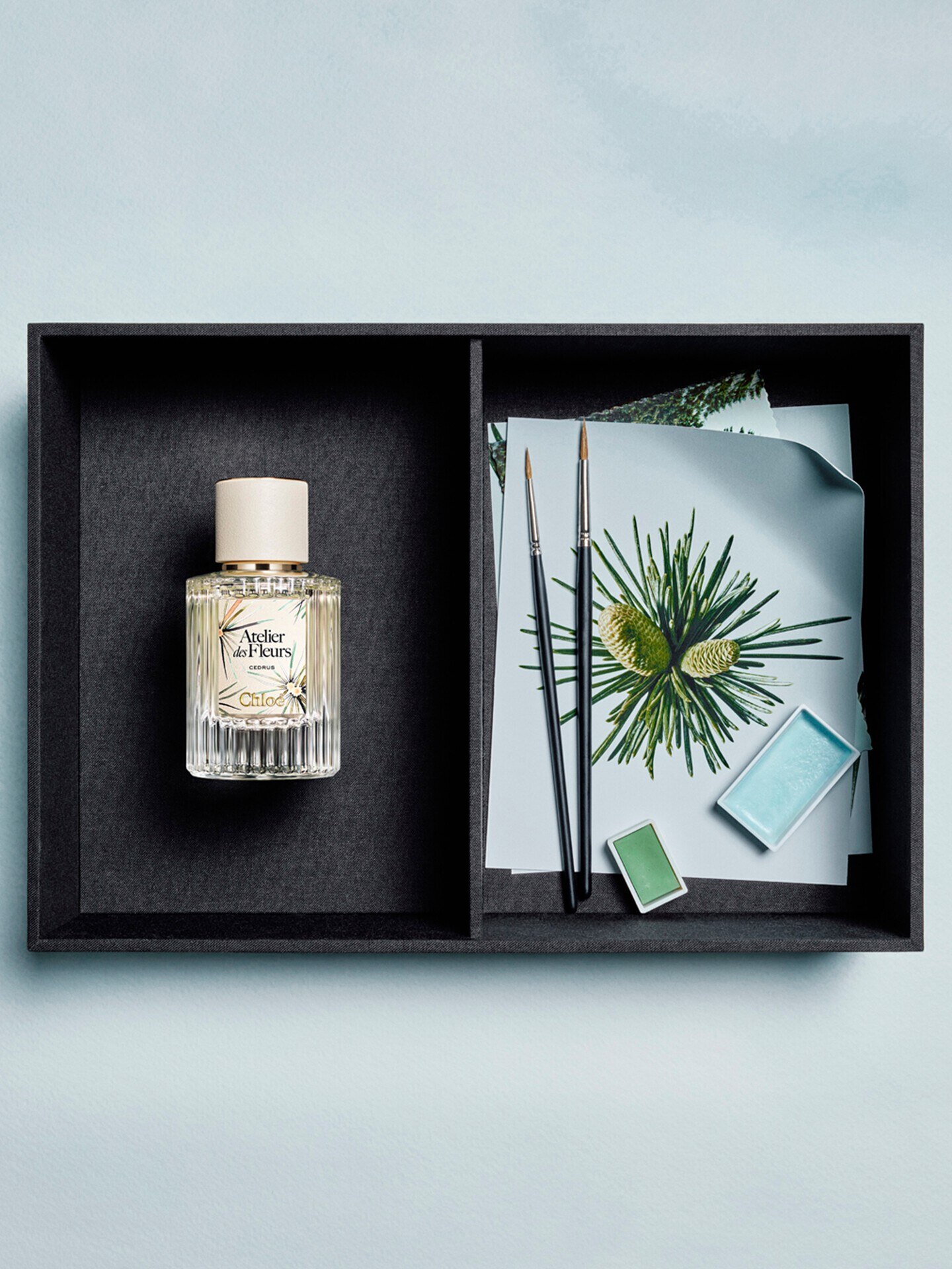 Atelier des Fleurs Cedrus Eau de Parfum de edici&oacute;n limitada 50&nbsp;ml - 4