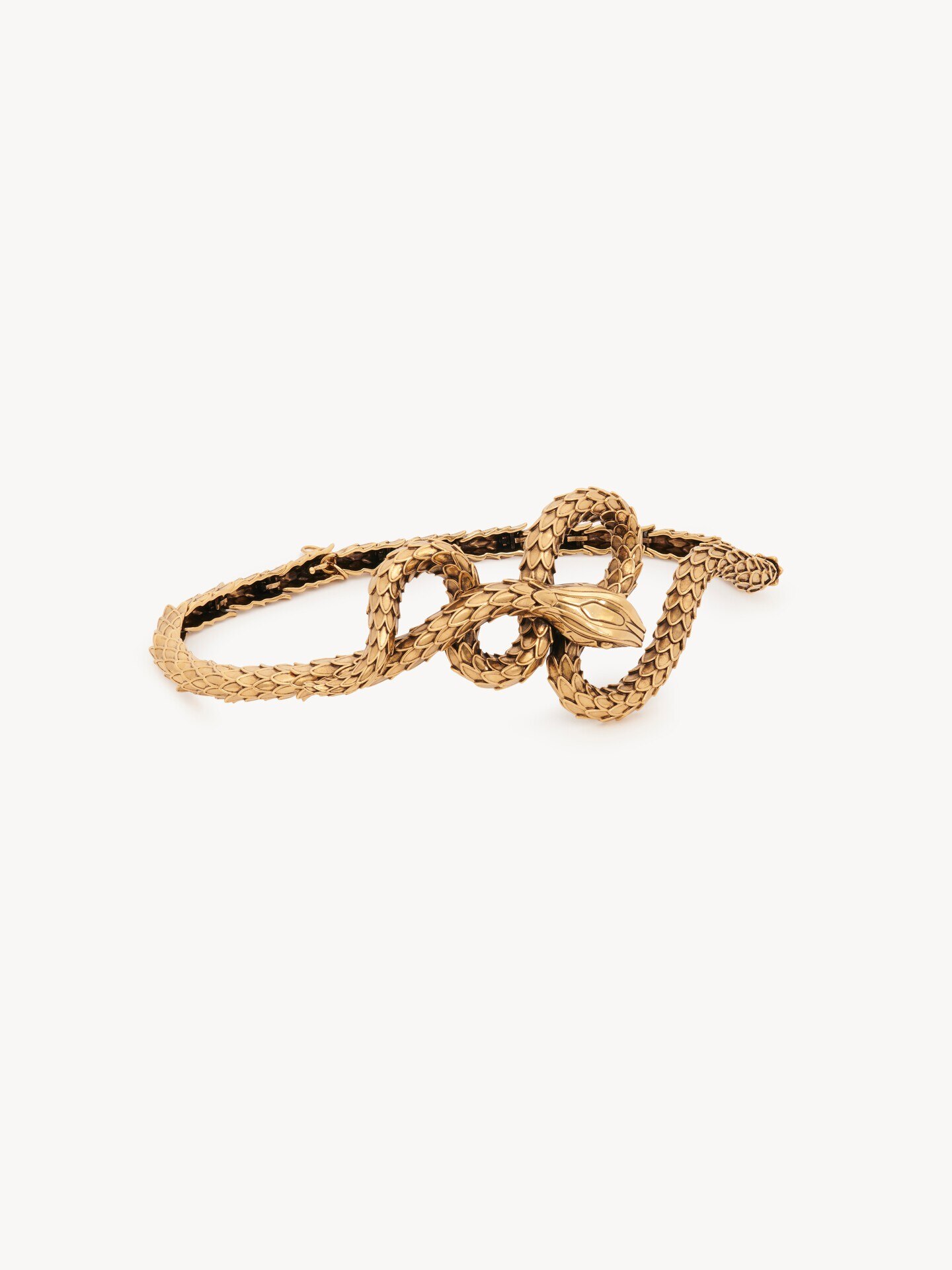 The Chloé Snake belt - 5