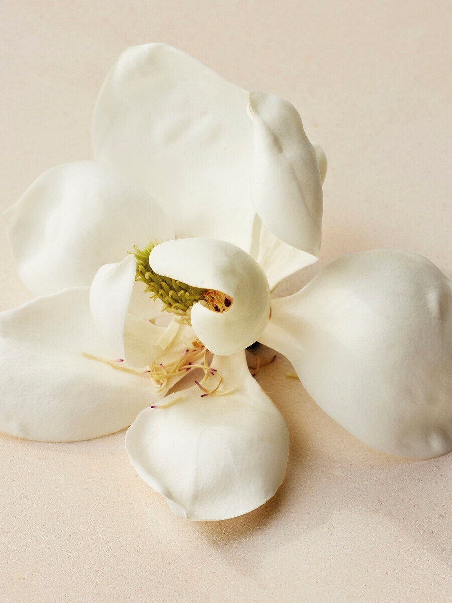 Atelier des Fleurs Magnolia Alba Solid Perfume - 4