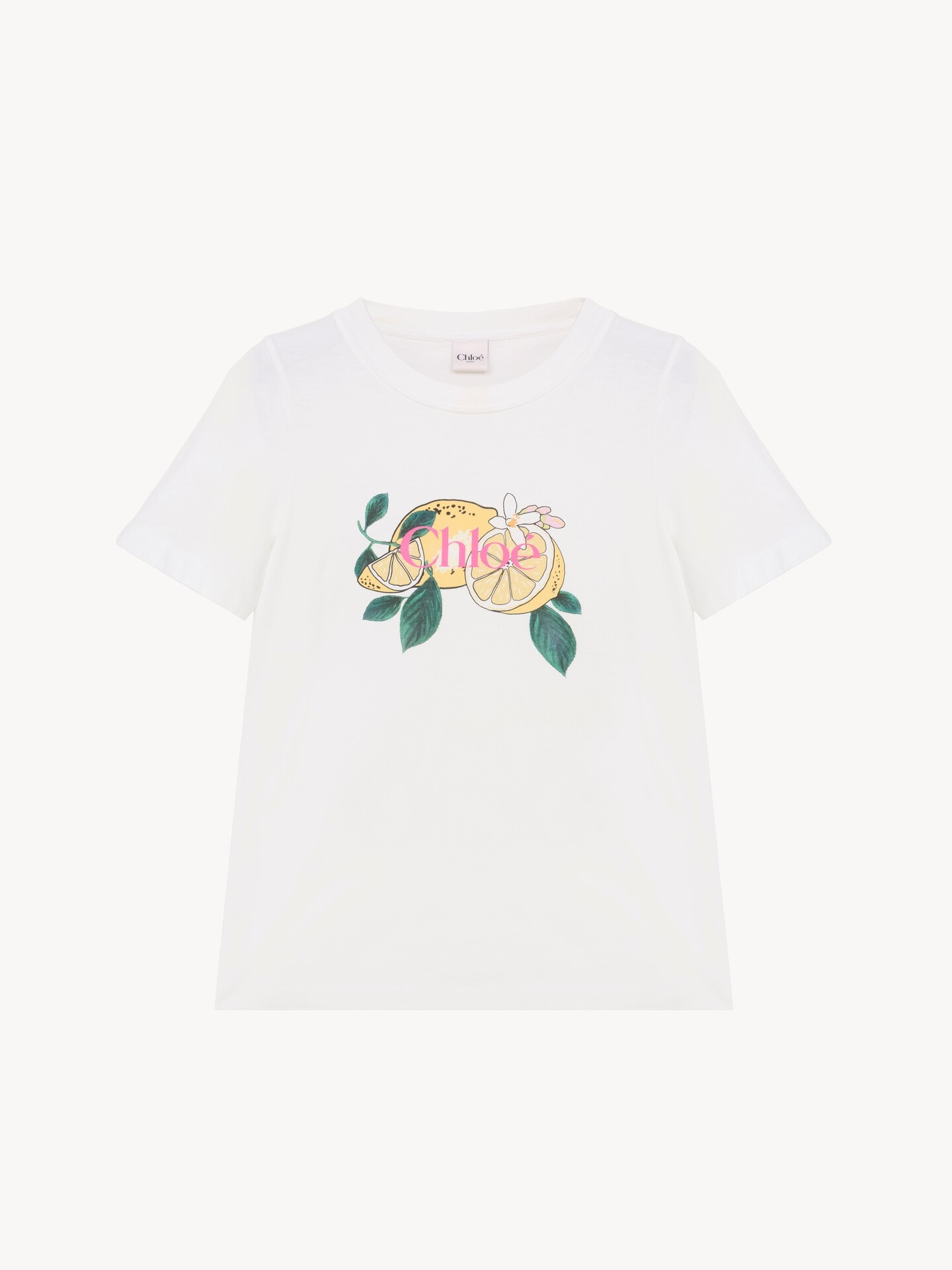 Crew-neck logo T-shirt in cotton jersey - 2
