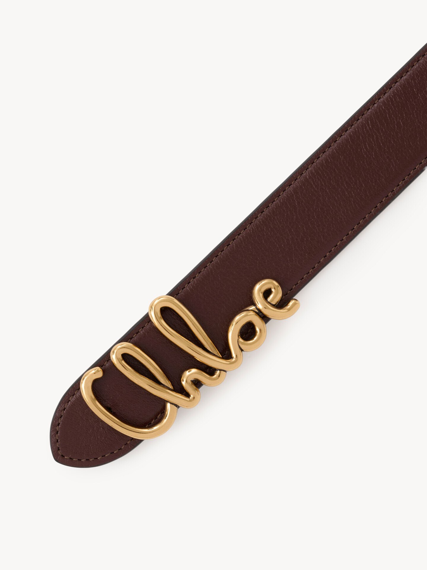 The Chloé Iconic belt - 4