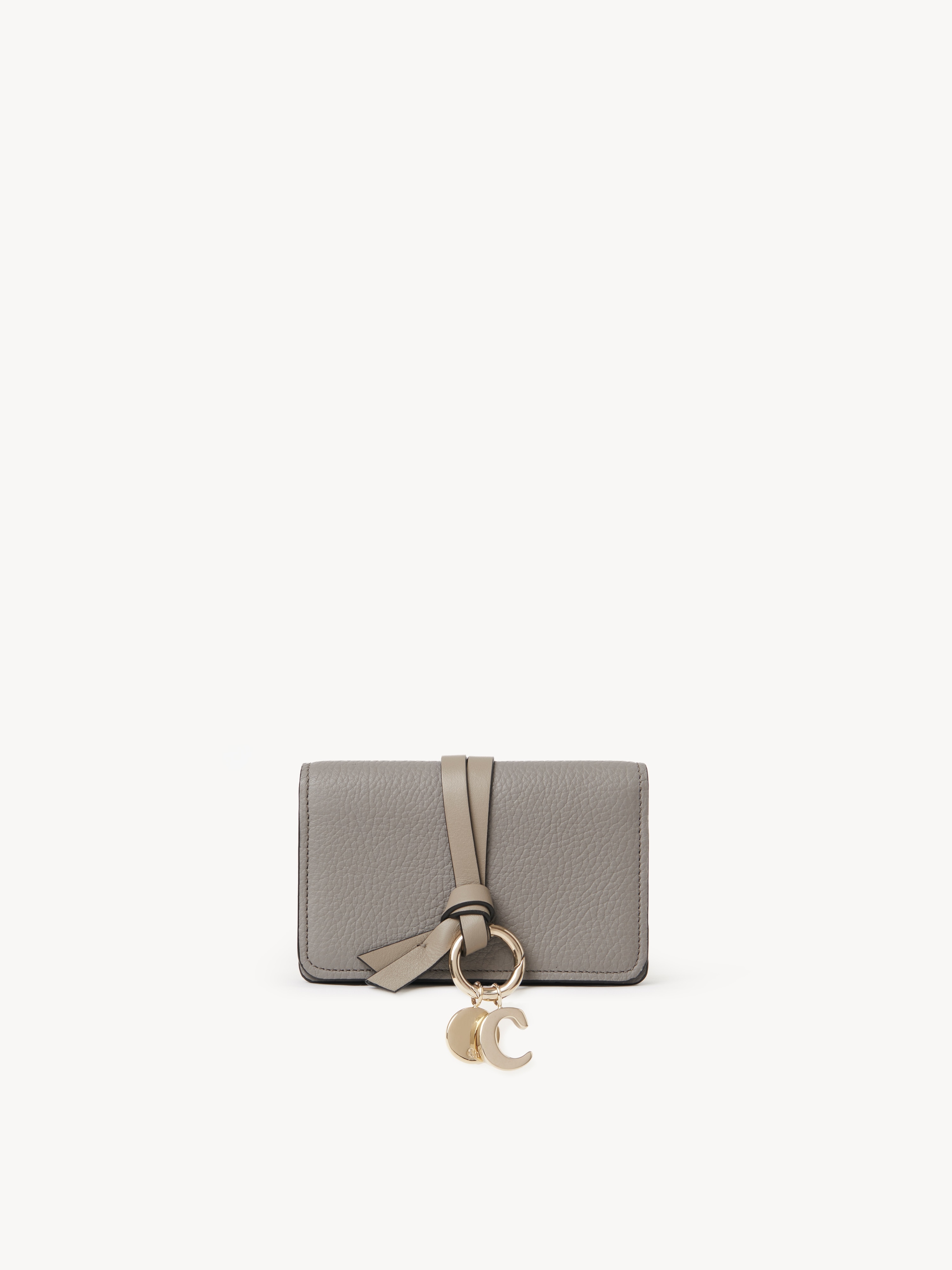 Alphabet zipped long wallet in grained leather - NaN