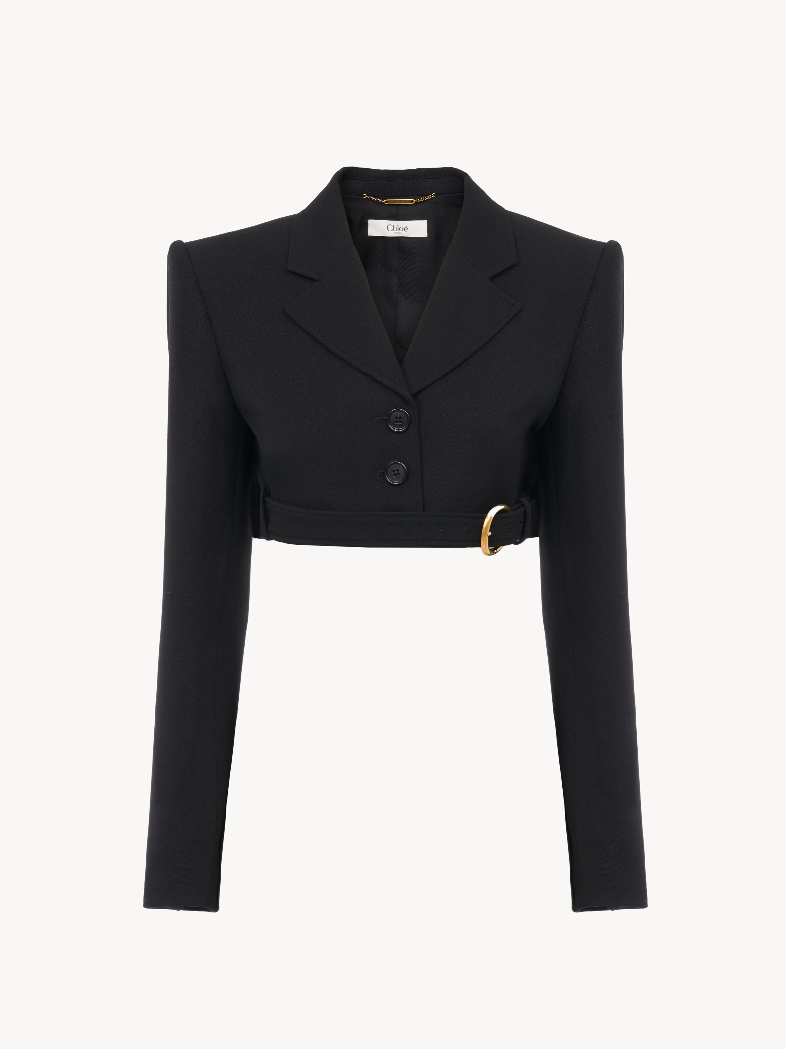 Pleated midi skirt in wool grain de poudre - NaN