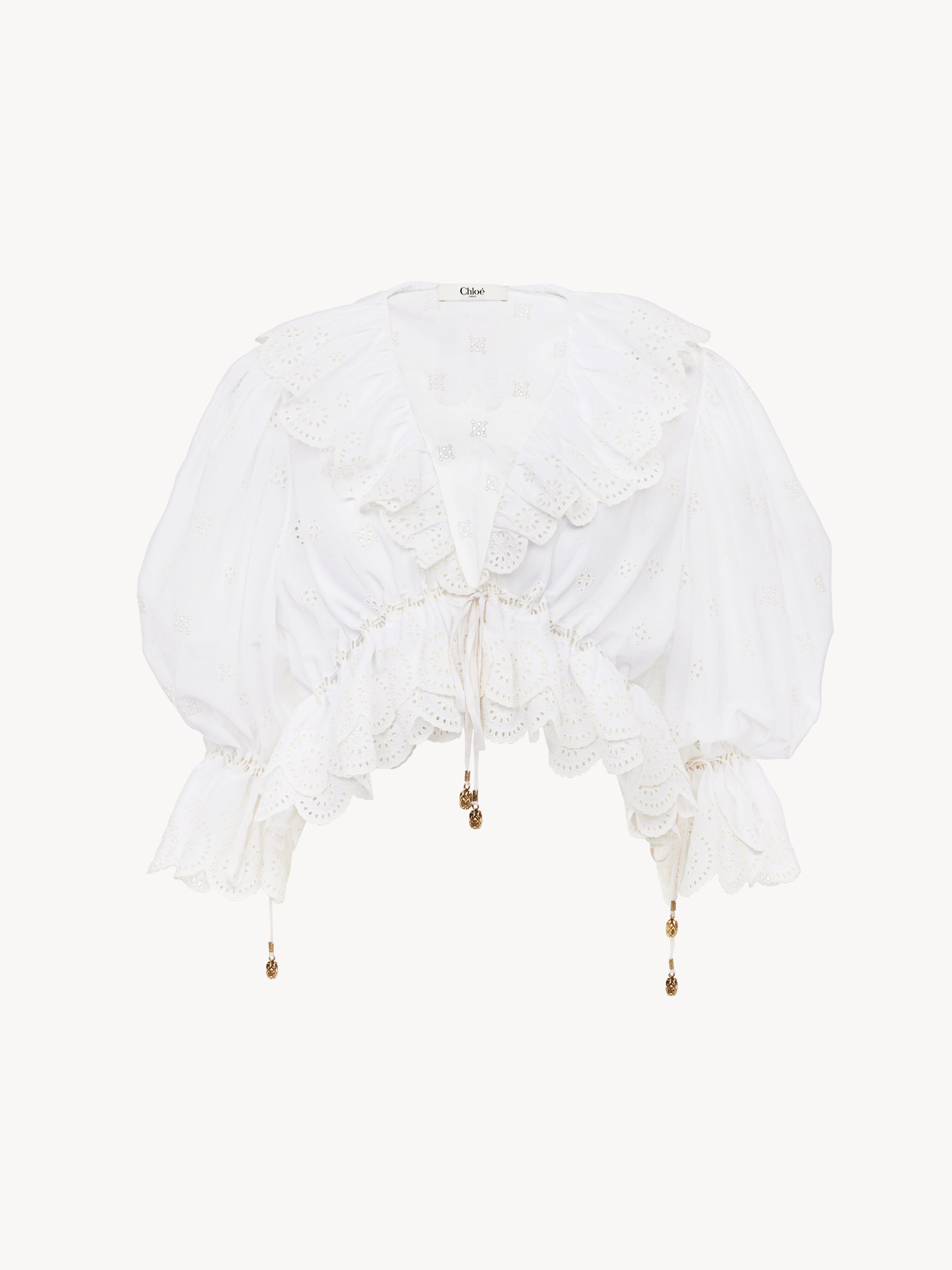 Embroidered cropped jeans in denim - NaN